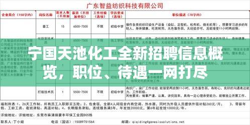 寧國白班最新招聘信息，職業(yè)繁榮與機(jī)遇在時(shí)代背景下的展現(xiàn)