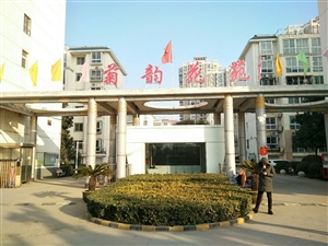 最新社旗獨(dú)家小院出售，市場(chǎng)趨勢(shì)、正反觀點(diǎn)分析與個(gè)人立場(chǎng)探討