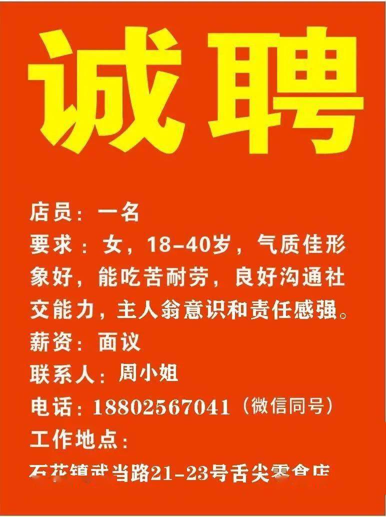 金正陽最新招聘信息發(fā)布，職位空缺及申請指南