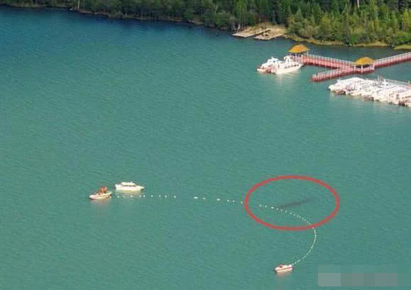 喀納斯湖水怪真相揭秘，探尋神秘之旅的心靈平靜之路